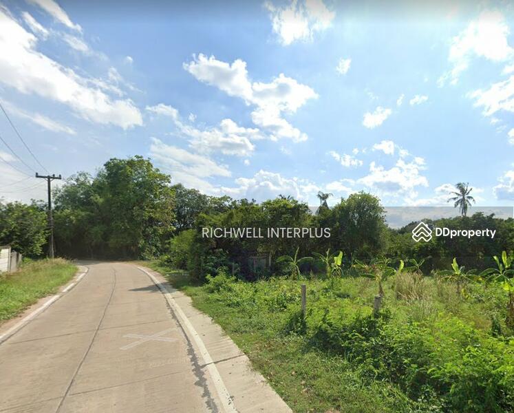 ขาย - ขายที่ดินวังเย็น 11.5 ไร่ ติดถนนคอนกรีต ใกล้ถนนเส้น 3121 - 200 เมตร อ.แปลงยาว, ฉะเชิงเทรา