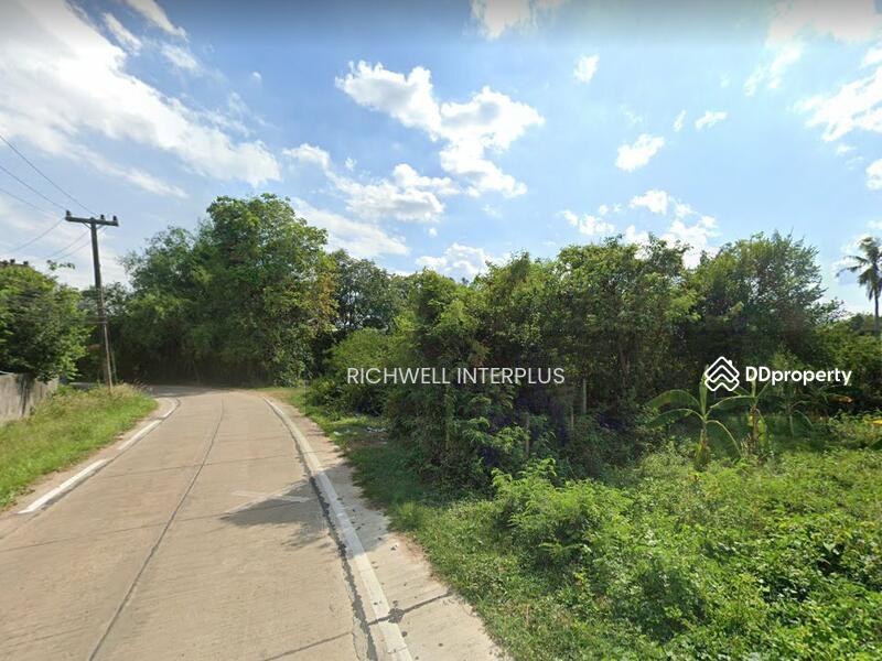 ขาย - ขายที่ดินวังเย็น 11.5 ไร่ ติดถนนคอนกรีต ใกล้ถนนเส้น 3121 - 200 เมตร อ.แปลงยาว, ฉะเชิงเทรา