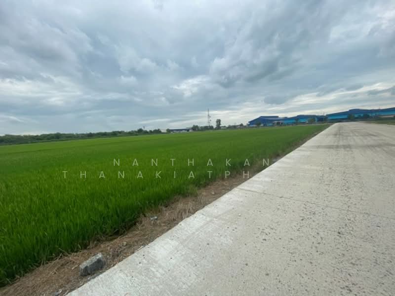 ขาย - อ.เมือง จ.ฉะเชิงเทรา, ฉะเชิงเทรา