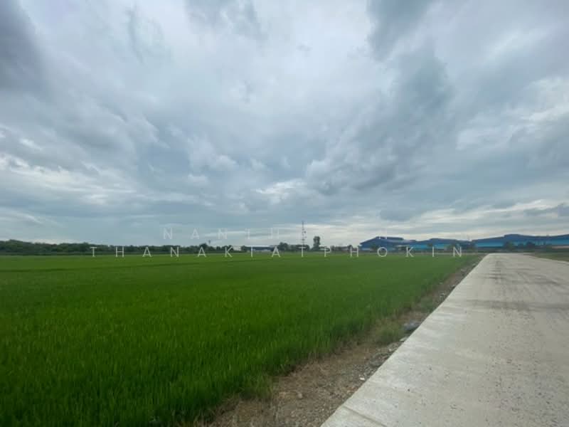 ขาย - อ.เมือง จ.ฉะเชิงเทรา, ฉะเชิงเทรา