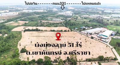 ขาย - ขายที่ดินเขาคันทรงสีม่วงลาย 51 ไร่, ชลบุรี