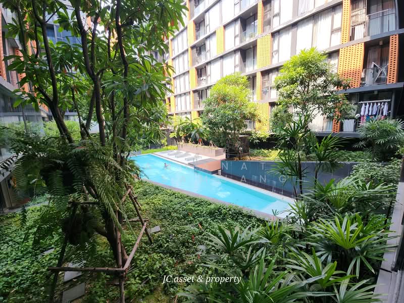 Quintara Treehaus Sukhumvit 42 : ควินทารา ทรีเฮาส์ สุขุมวิท 42, กรุงเทพ, ซอยบาร์โบส 2 ถนนสุขุมวิท 42, พระโขนง, คลองเตย, กรุงเทพ, 48 ตร.ม., คอนโด ให้เช่า, โดย Kanyanat Ruksamuang, 11816795 - DDproperty.com