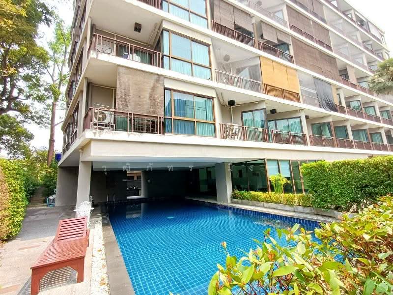 Mountain View Condominium, Chiang Mai, Kiang Doi Road, Chang Phuak, Muang Chiang Mai, Chiang Mai, 1 Bedroom, 48 sqm, Condo For Rent, by วุฒิภัทร มิ่งคำ, 11817264 - DDproperty.com