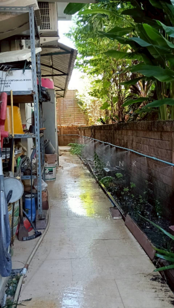 ให้เช่า - Laddarom Ratchaphruek-Pinklao : ลัดดารมย์ ราชพฤกษ์-ปิ่นเกล้า, กรุงเทพ