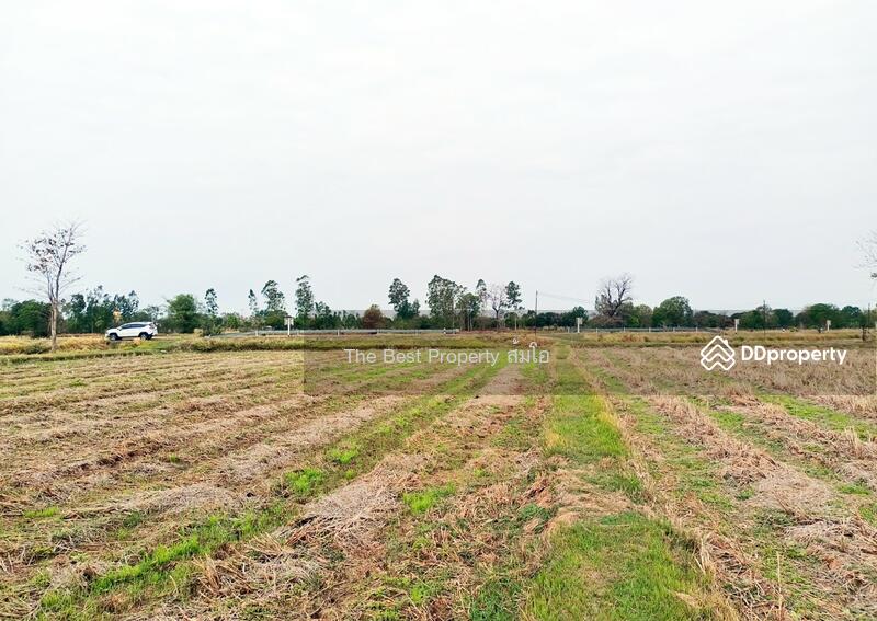 ขาย - ที่ดินพล ขอนแก่น, ขอนแก่น