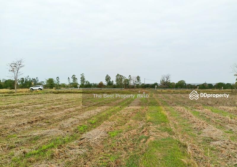 ขาย - ที่ดินพล ขอนแก่น, ขอนแก่น