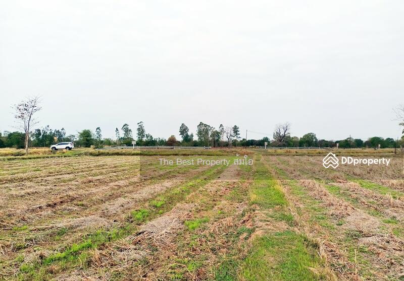 ขาย - ที่ดินพล ขอนแก่น, ขอนแก่น