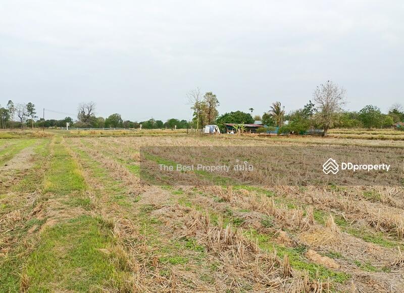 ขาย - ที่ดินพล ขอนแก่น, ขอนแก่น