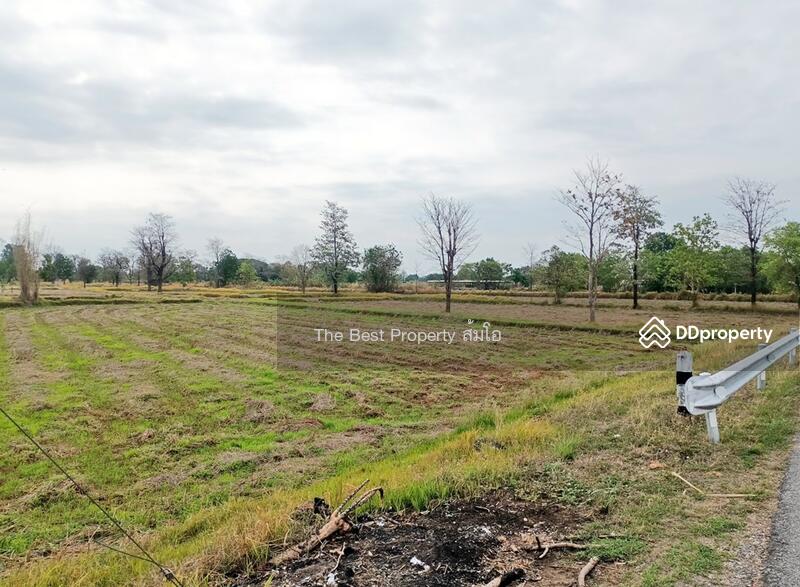 ขาย - ที่ดินพล ขอนแก่น, ขอนแก่น