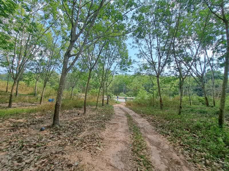 For Sale - ขายที่ดินระยอง ใกล้แยกกะเฉด ที่ดินอยู่ติดถนนสุขุมวิท ถนน4เลน มีที่ดิน 2 แปลง เนื้อที่ 34-69ไร่, Rayong