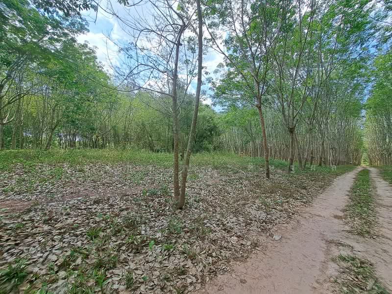 For Sale - ขายที่ดินระยอง ใกล้แยกกะเฉด ที่ดินอยู่ติดถนนสุขุมวิท ถนน4เลน มีที่ดิน 2 แปลง เนื้อที่ 34-69ไร่, Rayong