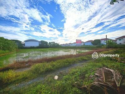 ขาย - ที่ดินเปล่า 1 ไร่ 200 ตร.ว. ที่ดินเปล่า ใกล้ศูนย์การแพทย์กาญจนาภิเษก ซอยพุทธมณฑลสาย5, นครปฐม