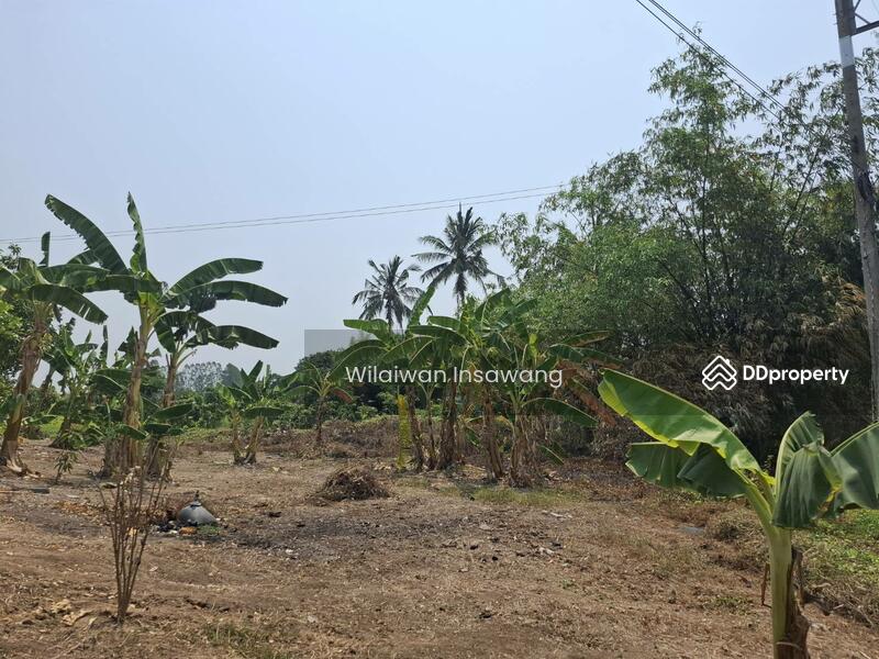 For Sale - 70140, Suphan Buri