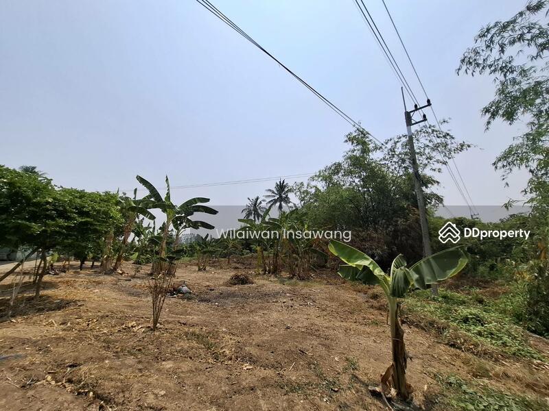 ขาย - 70140, สุพรรณบุรี