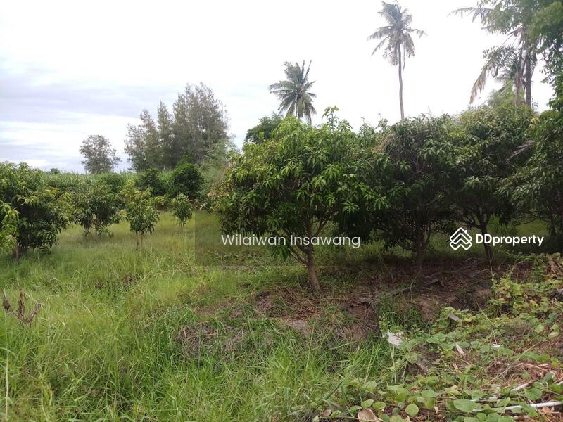 ขาย - 70140, สุพรรณบุรี