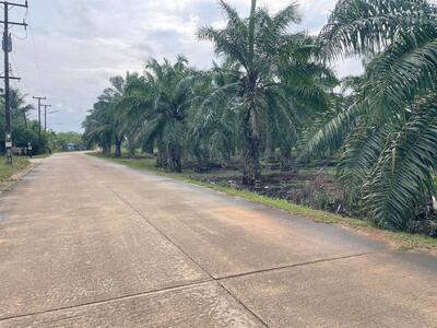 ขาย - ท่าแซะ ชุมพร, ชุมพร