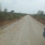 ขายที่ดินสองคลอง 100 ตรว. ฝั่งน้ำจืดเข้าตรงข้ามวัดแสมขาว ใกล้ถ.สุขุมวิท3-1.8กม. อ.บางปะกง, ฉะเชิงเทรา