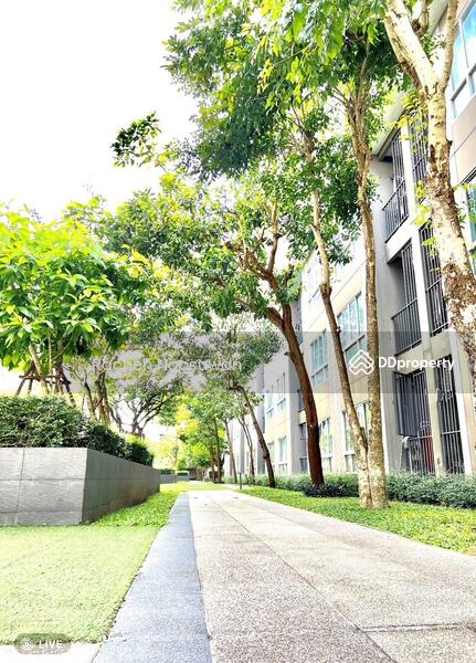 For Sale - Dcondo Karnjanavanich Hatyai, Songkhla