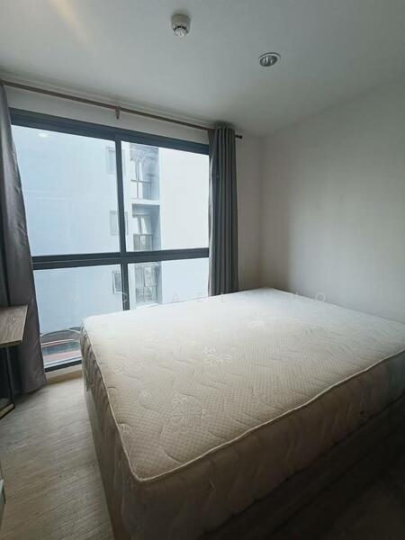 For Rent - The Excel Hideaway Sukhumvit 50, Bangkok