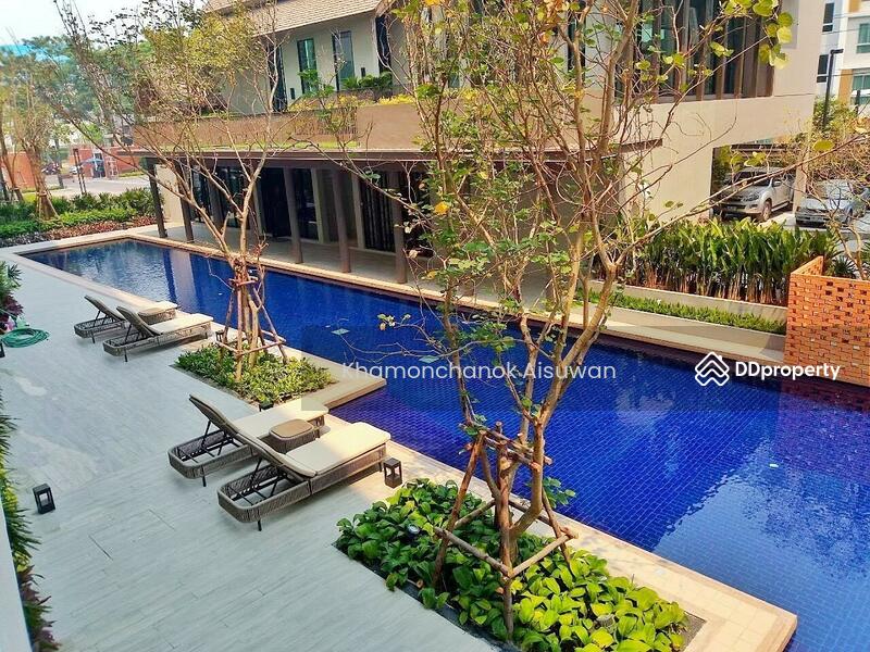 ขาย - Dcondo Rin : ดีคอนโด ริน, เชียงใหม่