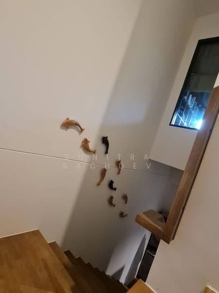 Pleno Sukhumvit-Bangna, Samut Prakan, Bua Nakarin Road, Bang Kaeo, Bang Plee, Samut Prakan, 3 Bedrooms, 107 sqm, Townhouse For Rent, by Sunitra Sachdev, 11822204 - DDproperty.com