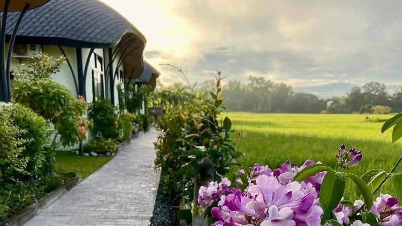 Small Hotel - For Sale - Doi Saket, Chiang Mai, Chiang Mai, Mae Pong, Doi Saket, Chiang Mai, , 3,200 sqm, Business For Sale, by Elijah Ridgley, 11822422 - DDproperty.com