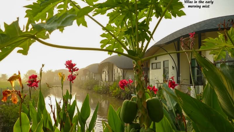 ขายโรงแรมขนาดเล็ก - ดอยสะเก็ด เชียงใหม่, เชียงใหม่, แม่โป่ง, ดอยสะเก็ด, เชียงใหม่, 3,200 ตร.ม., กิจการ ขาย, โดย เอลียาห์ ริดจ์ลี่ย์, 11822422 - DDproperty.com