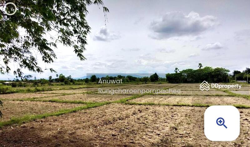 For Sale - Land for sale in Chiangmai with 2 houseห, Chiang Mai