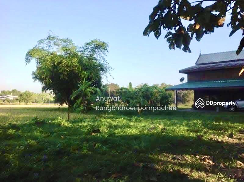 For Sale - Land for sale in Chiangmai with 2 houseห, Chiang Mai