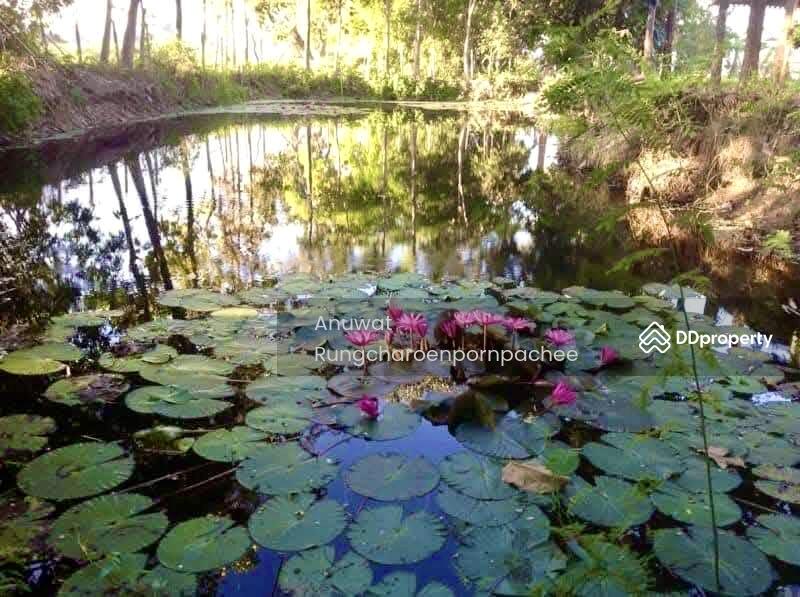 For Sale - Land for sale in Chiangmai with 2 houseห, Chiang Mai