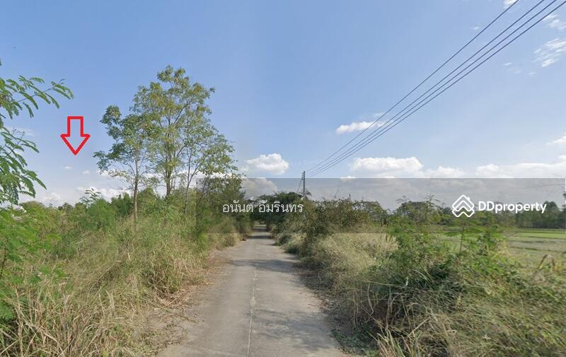 ขาย - ขายที่ดิน 112 ตร.ว. ใกล้ ถนน 1317 และ ม.มหามกุฏราชวิทยาลัย วิทยาเขตล้านนา 2, เชียงใหม่