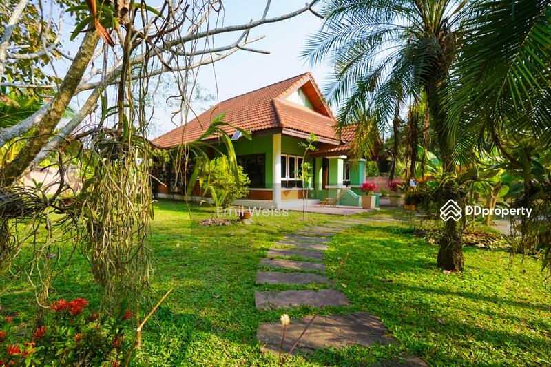 ขาย - ดรีมเฮ้าส์ (Dream House), เชียงใหม่
