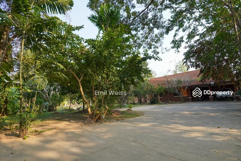 ขาย - ดรีมเฮ้าส์ (Dream House), เชียงใหม่