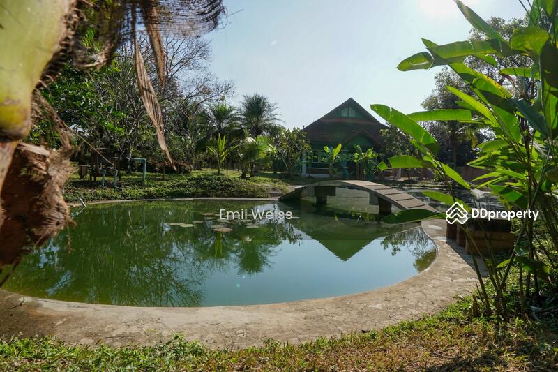 ขาย - ดรีมเฮ้าส์ (Dream House), เชียงใหม่