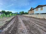 ที่ดินสวยริมแม่น้ำเจ้าพระยา อ.บางบาล อยุธยา, พระนครศรีอยุธยา