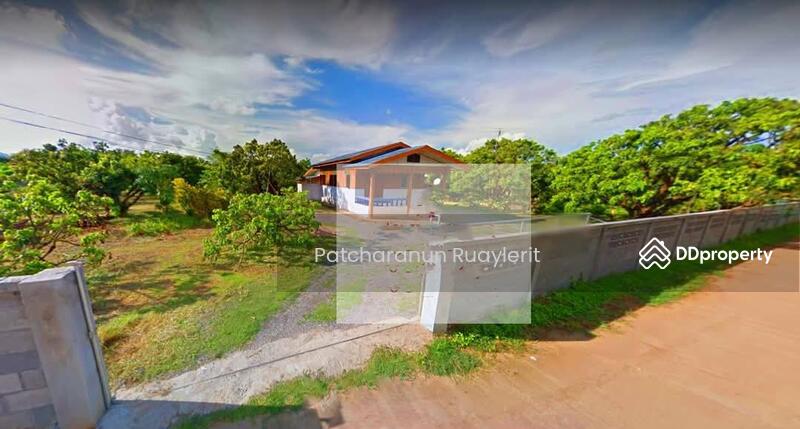 For Sale - Sell Lamphun longan land Sell Li land Li land Lamphun land Land in Lamphun Land in Lamphun province, Lamphun
