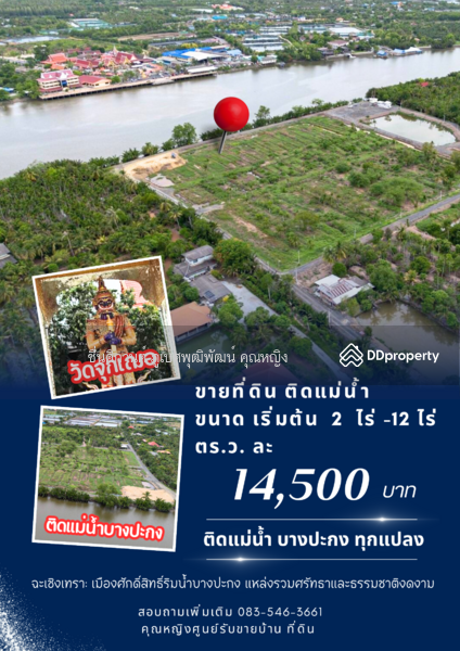 ขาย - วัดจุกเฌอ, ฉะเชิงเทรา