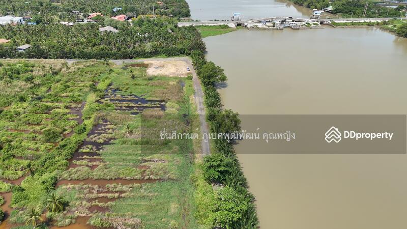 ขาย - วัดจุกเฌอ, ฉะเชิงเทรา