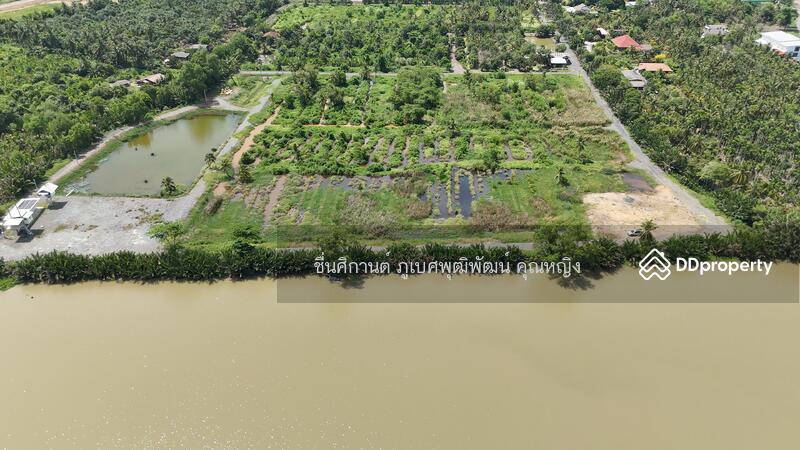 ขาย - วัดจุกเฌอ, ฉะเชิงเทรา