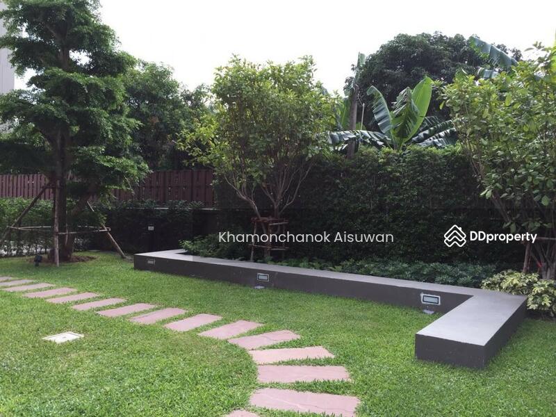 For Sale - Palm Springs Nimman Parlor, Chiang Mai