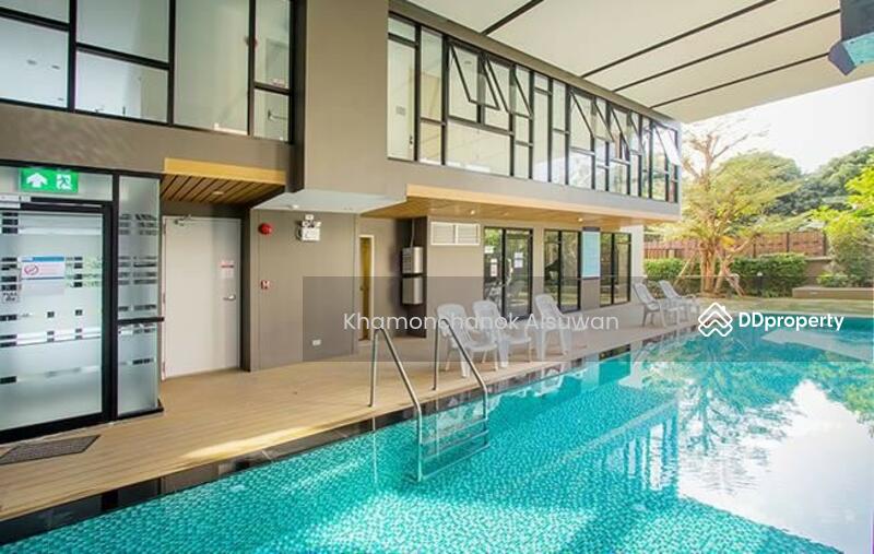 For Sale - Palm Springs Nimman Parlor, Chiang Mai