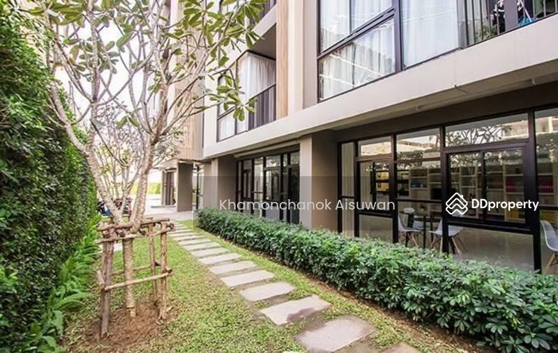 For Sale - Palm Springs Nimman Parlor, Chiang Mai