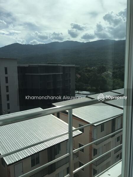 ขาย - Touch Hill Place : ธัช ฮิลล์ เพลส, เชียงใหม่