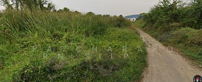 ขาย - ขายที่ดินทำเลทอง กรุงเทพกรีฑา20 กลางเมืองกรุงเทพมหานคร, กรุงเทพ