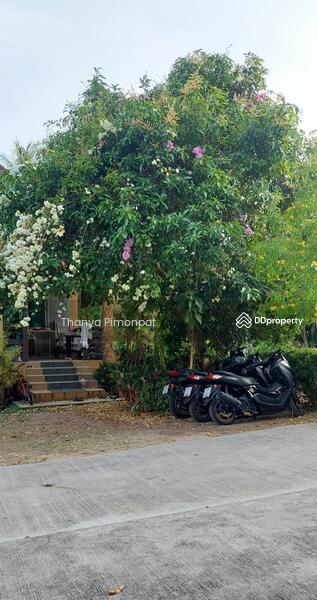 For Sale - Charming Single-Story House for Sale in Maret, Surat Thani