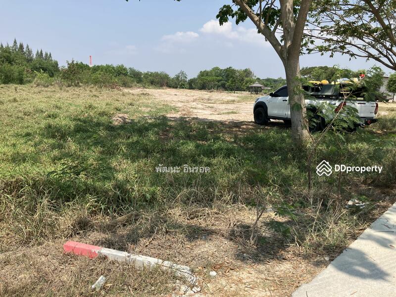 ขาย - ที่ดินเปล่า ด้านหลังติดคลอง ด้านหน้าติดถนนสาธารณะ เนื้อที่ 8 ไร่ มี2แปลง แปลงล่ะ 4 ไร่, ระยอง