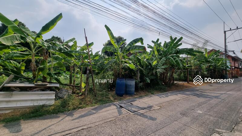ให้เช่า - เช่าที่ดินซอยลำลูกกา35 (รถไฟฟ้าสายสีเขียวสถานีคูคต) อำเภอธัญบุรี ปทุมธานี เนื้อที่ 60 ตารางวา, ปทุมธานี