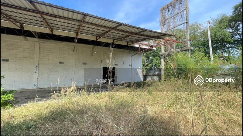 ให้เช่า - เช่าโกดังใกล้โรงเรียนวัดนาบุญ ตำบลลำผักกูด อำเภอธัญบุรี ปทุมธานี เนื้อที่ 2 ไร่, ปทุมธานี