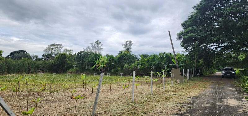 For Sale - เคซีการ์เด้นโฮม 1 นิมิตใหม่ 40, Bangkok