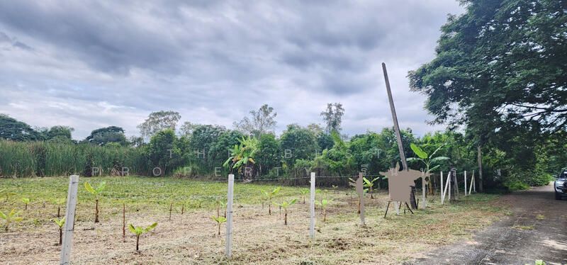 For Sale - เคซีการ์เด้นโฮม 1 นิมิตใหม่ 40, Bangkok